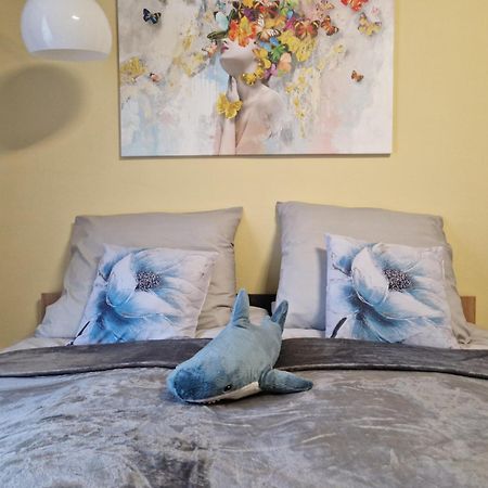 Veludo Apartments Centrum Free Parking 班斯卡-比斯特里察 外观 照片